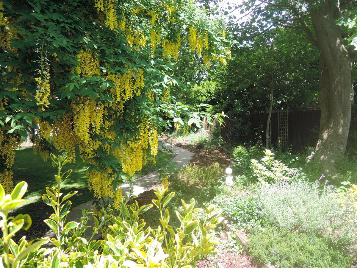 Bed and Breakfast Tresillian House Melton Mowbray Exteriér fotografie